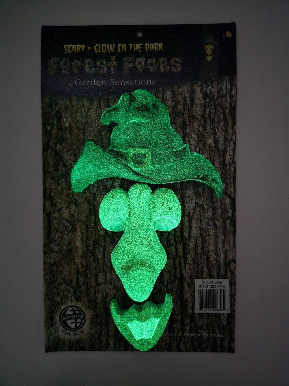 Forest Faces by Garden Sensations Glow in the Dark Funny face w/ Buckle Hat